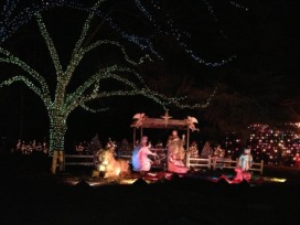 2012-12-21 18 Trail of Lights.jpg